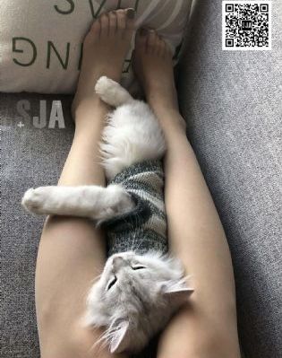 戴错贞操带