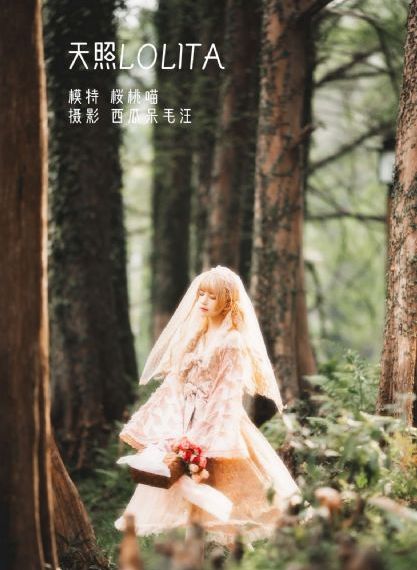 妈妈的朋友4韩国